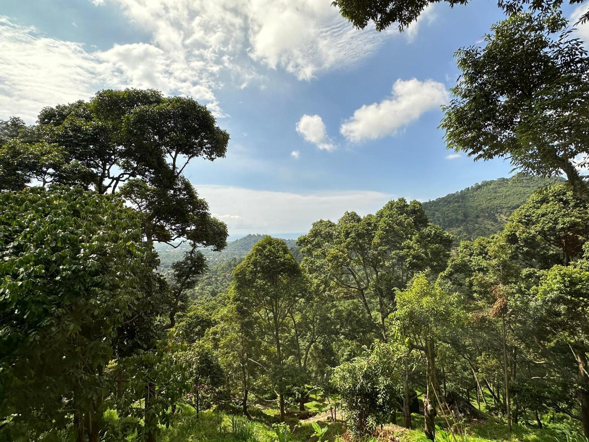 Villa Bao Sheng Durian Farm Balik Pulau Exterior foto
